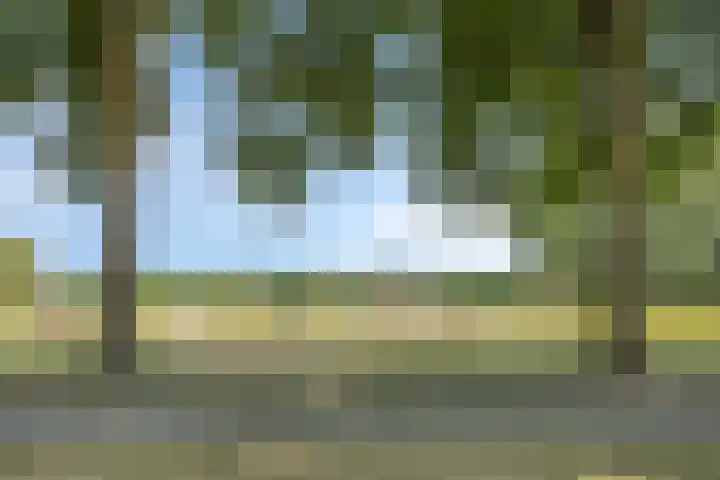 Oudestraat 20 Gemert thumbnail 20