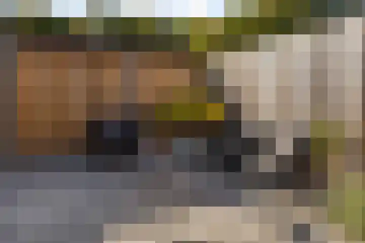 Oudestraat 20 Gemert thumbnail 22