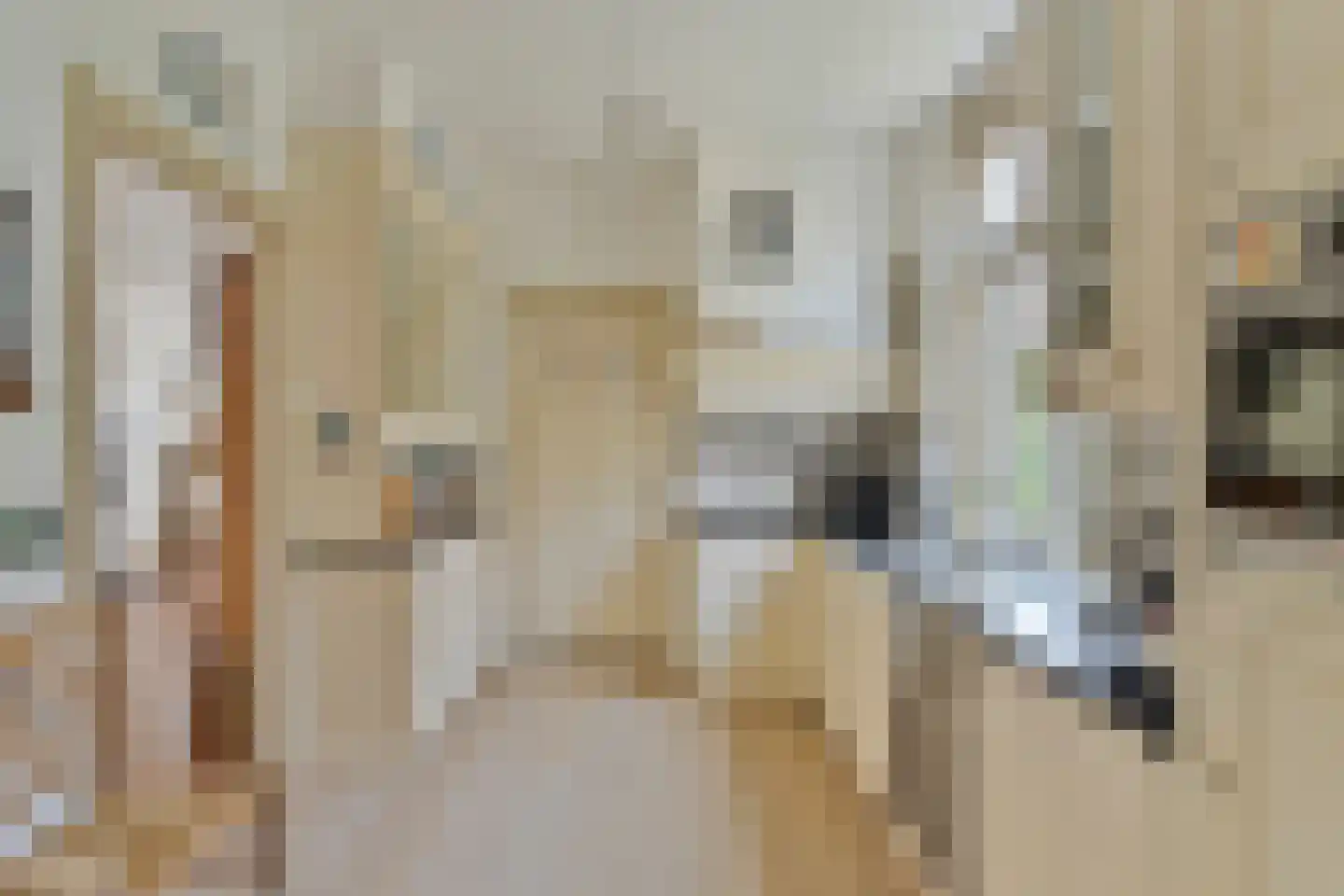 Oudestraat 20 Gemert thumbnail 22