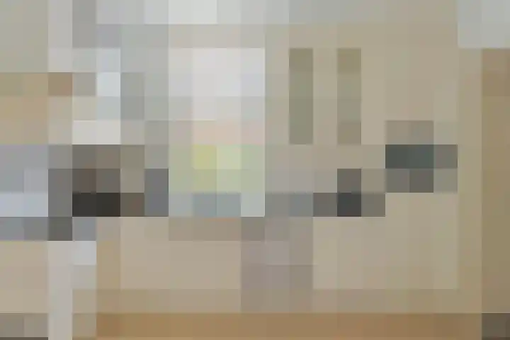 Oudestraat 20 Gemert thumbnail 23