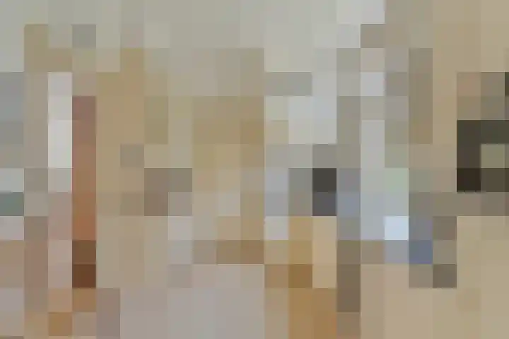 Oudestraat 20 Gemert thumbnail 24