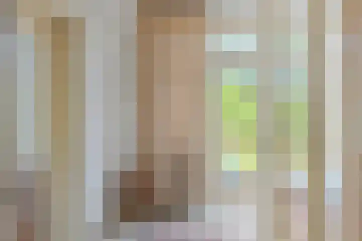 Oudestraat 20 Gemert thumbnail 27