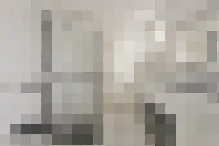 Oudestraat 20 Gemert thumbnail 30