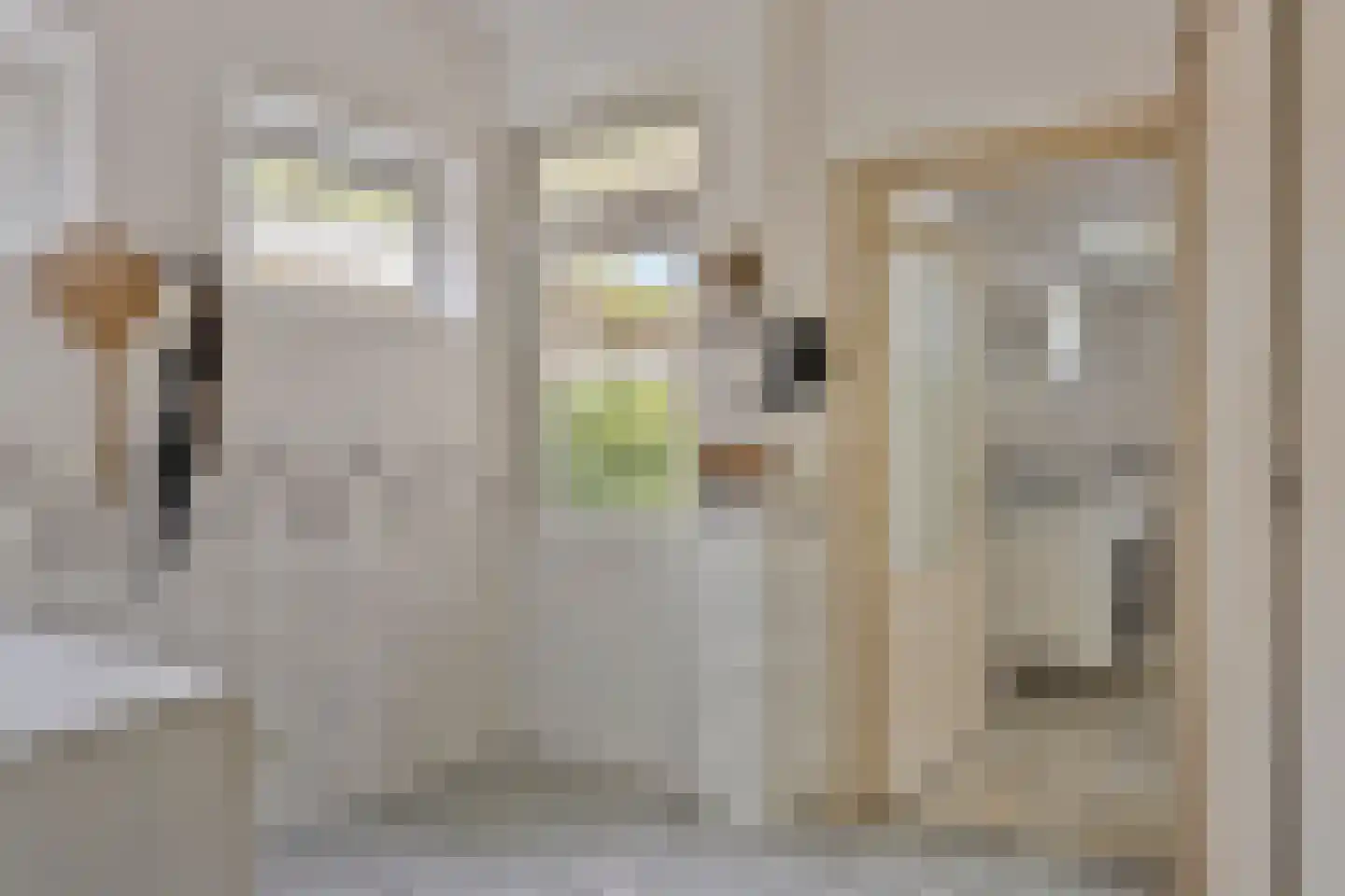 Oudestraat 20 Gemert thumbnail 32