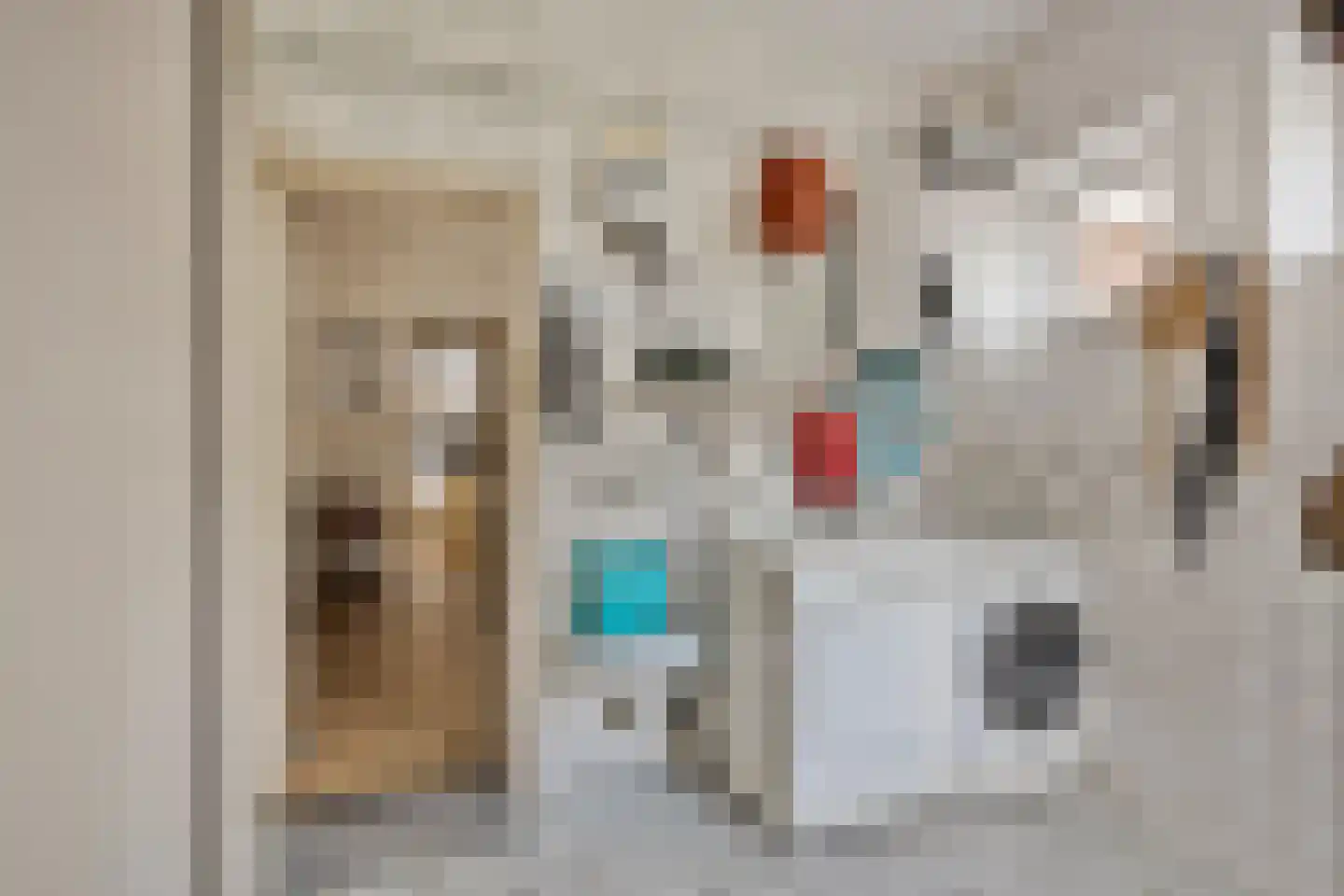 Oudestraat 20 Gemert thumbnail 32