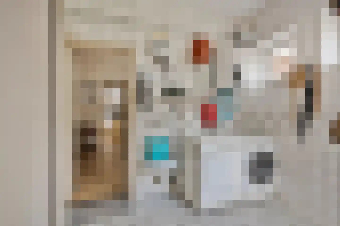 Oudestraat 20 Gemert thumbnail 33