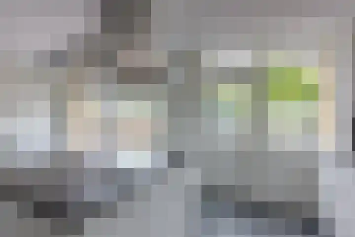 Oudestraat 20 Gemert thumbnail 34