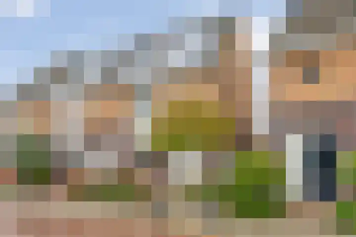 Oudestraat 20 Gemert thumbnail 35