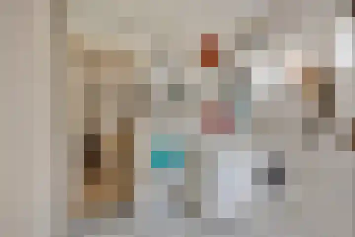 Oudestraat 20 Gemert thumbnail 35