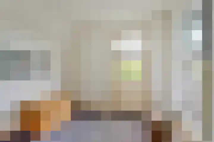 Oudestraat 20 Gemert thumbnail 44