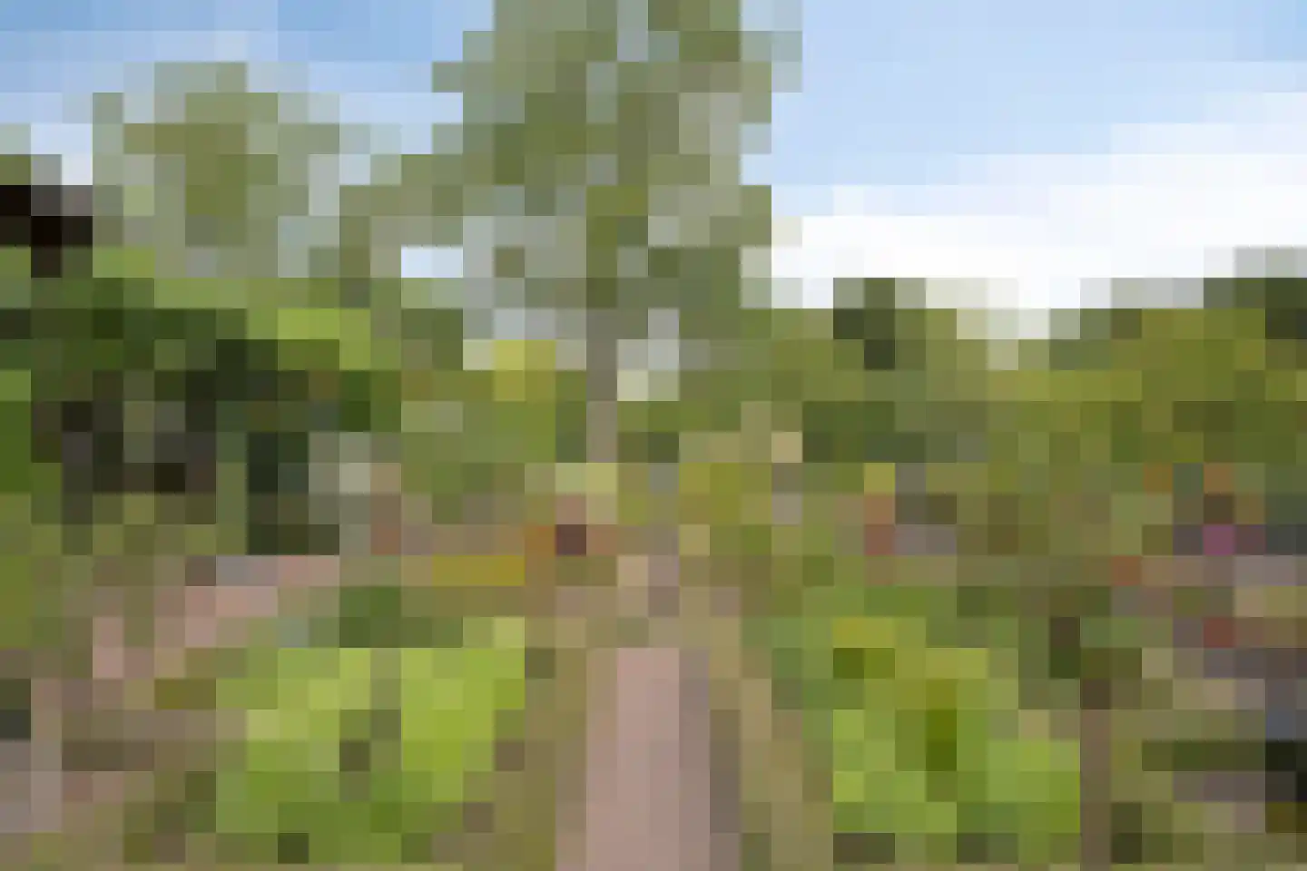 Oudestraat 20 Gemert thumbnail 50
