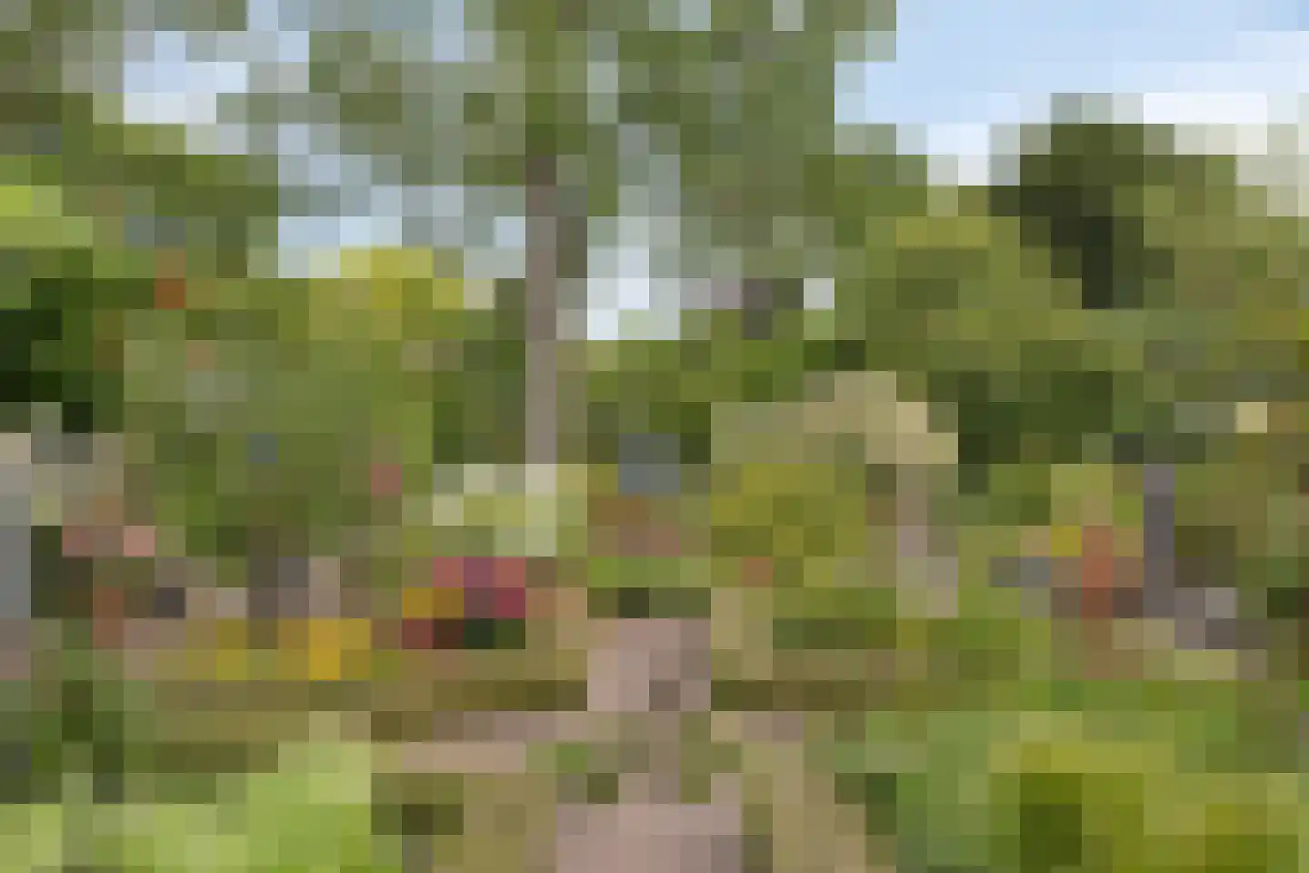 Oudestraat 20 Gemert thumbnail 51