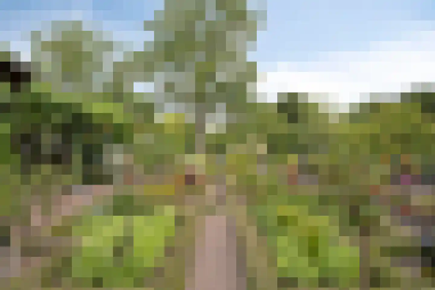 Oudestraat 20 Gemert thumbnail 51