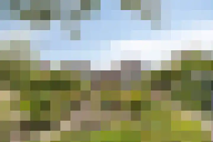 Oudestraat 20 Gemert thumbnail 51