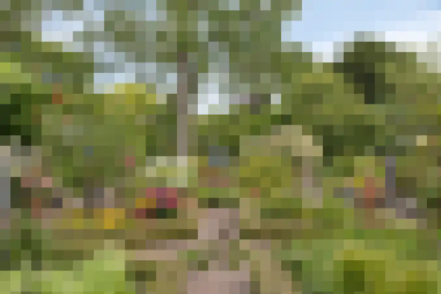 Oudestraat 20 Gemert thumbnail 52