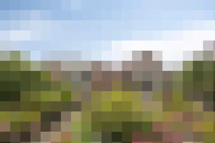 Oudestraat 20 Gemert thumbnail 52