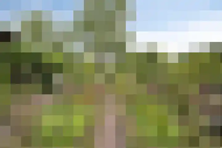 Oudestraat 20 Gemert thumbnail 53
