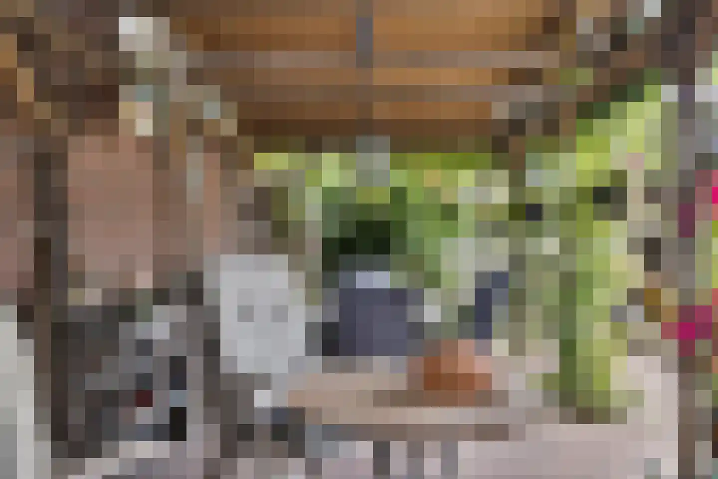 Oudestraat 20 Gemert thumbnail 54