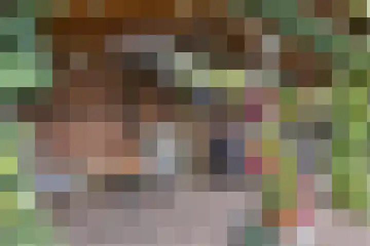 Oudestraat 20 Gemert thumbnail 55