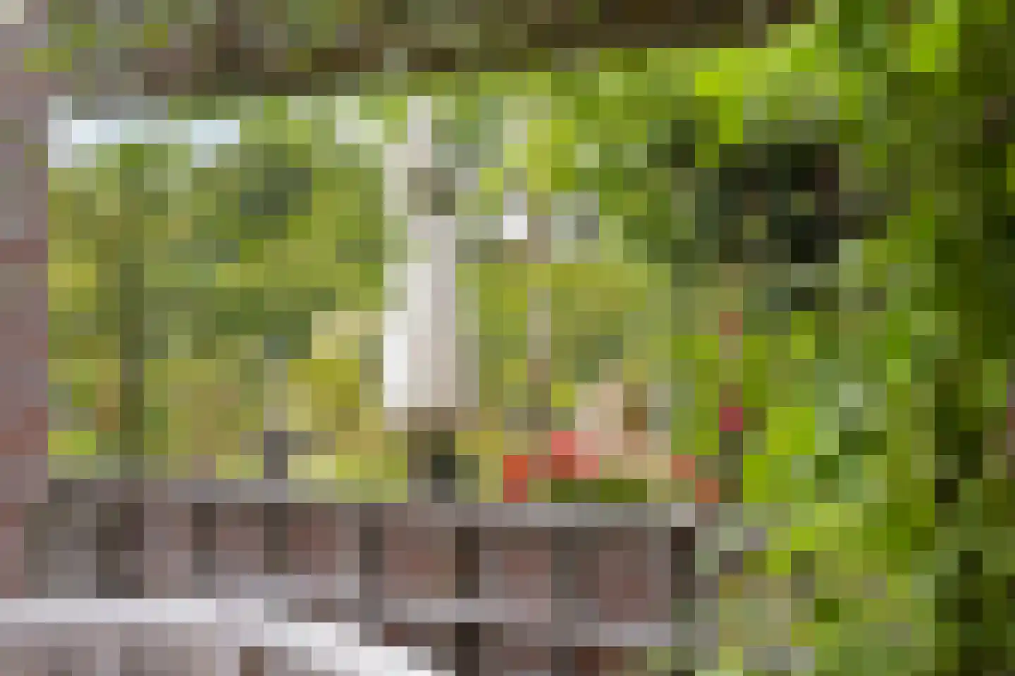Oudestraat 20 Gemert thumbnail 56