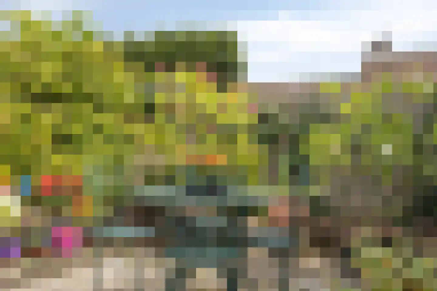 Oudestraat 20 Gemert thumbnail 57