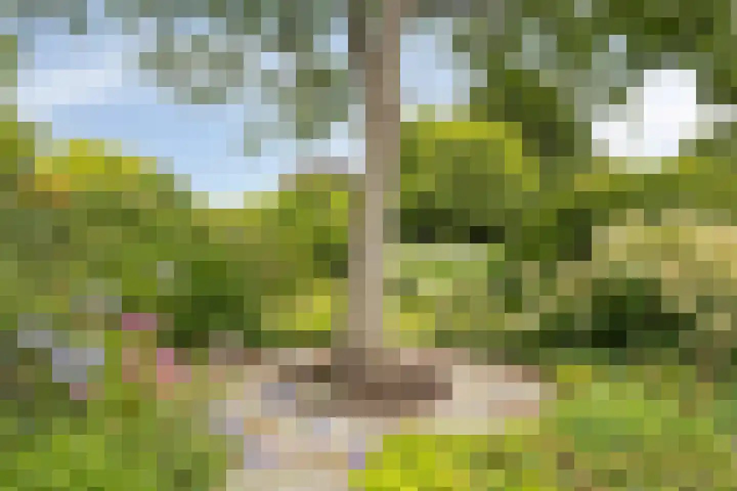 Oudestraat 20 Gemert thumbnail 58