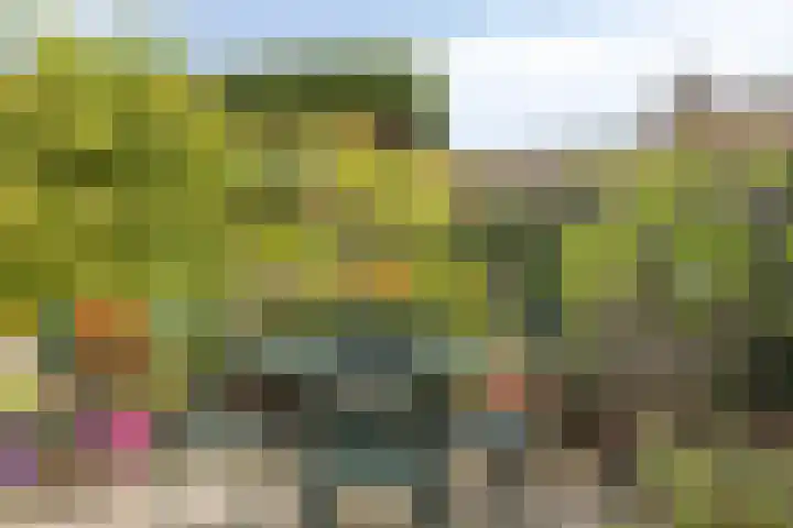 Oudestraat 20 Gemert thumbnail 59