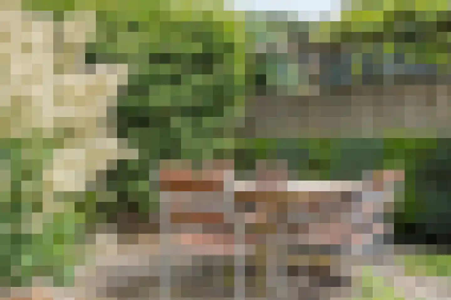 Oudestraat 20 Gemert thumbnail 59