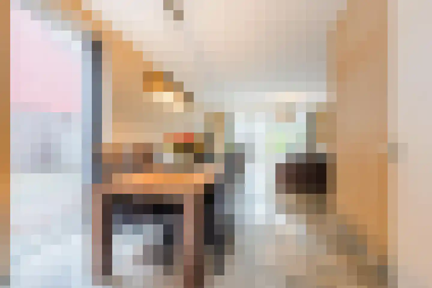 Oudestraat 20 Gemert thumbnail 6