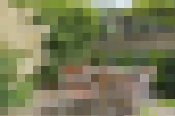 Oudestraat 20 Gemert thumbnail 61
