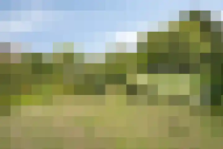 Oudestraat 20 Gemert thumbnail 62