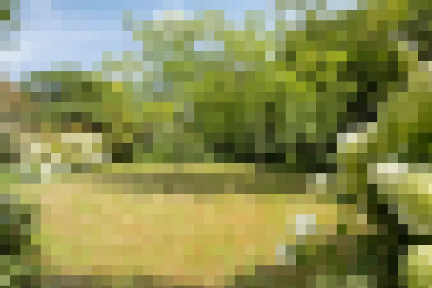 Oudestraat 20 Gemert thumbnail 62