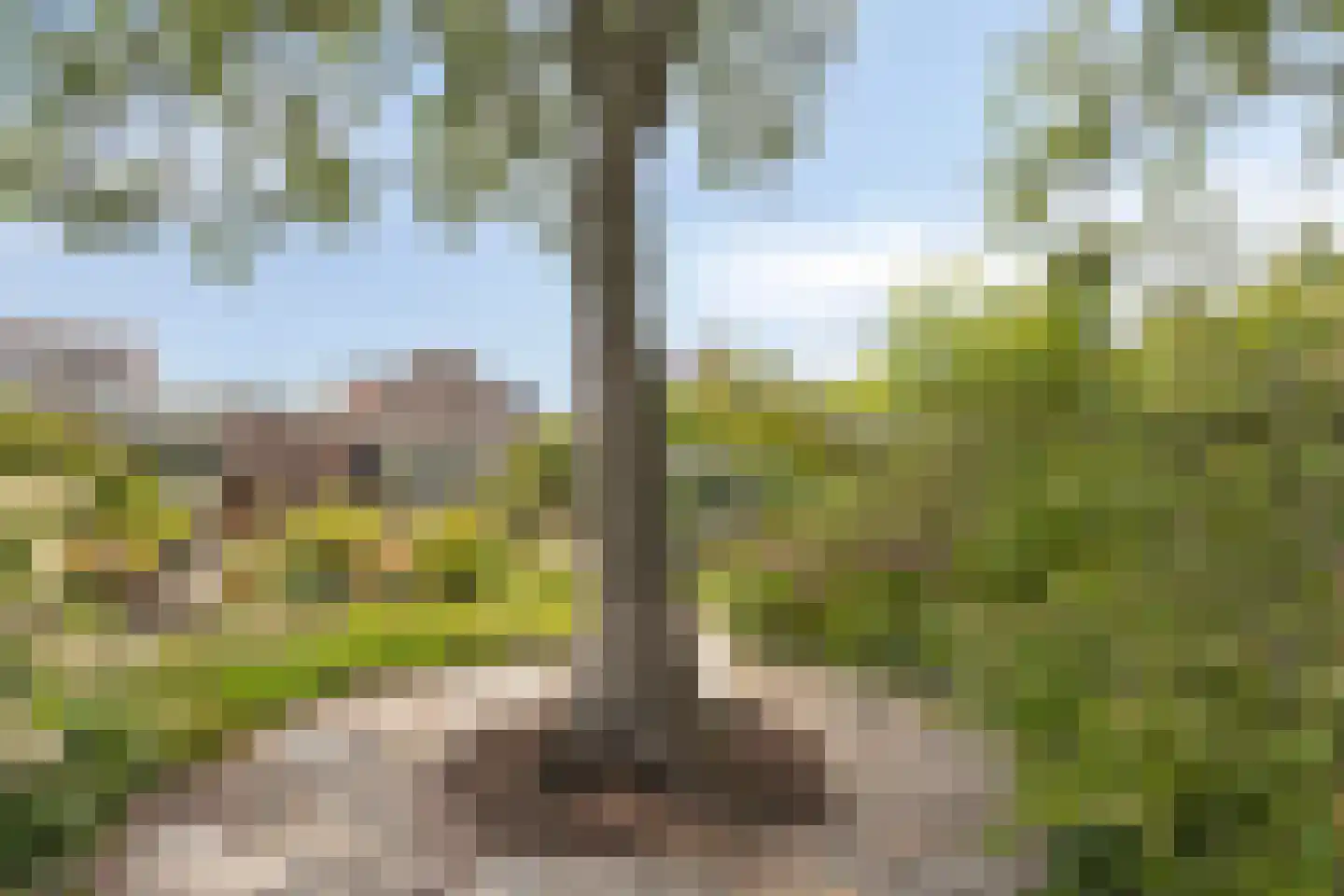 Oudestraat 20 Gemert thumbnail 63
