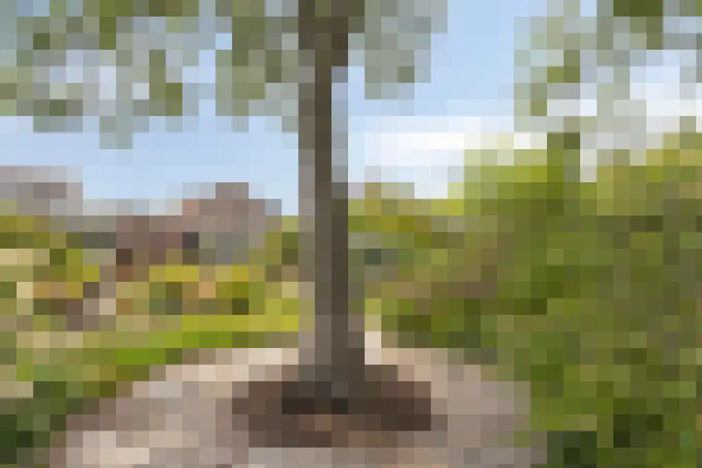 Oudestraat 20 Gemert thumbnail 64