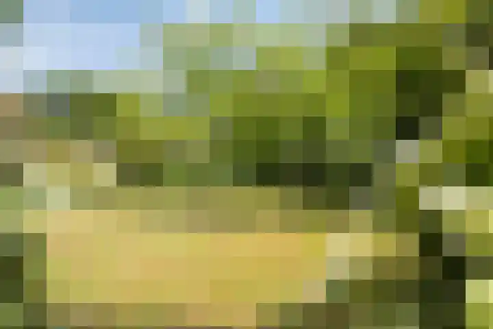 Oudestraat 20 Gemert thumbnail 64