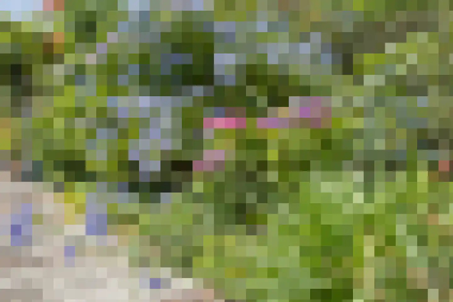 Oudestraat 20 Gemert thumbnail 64