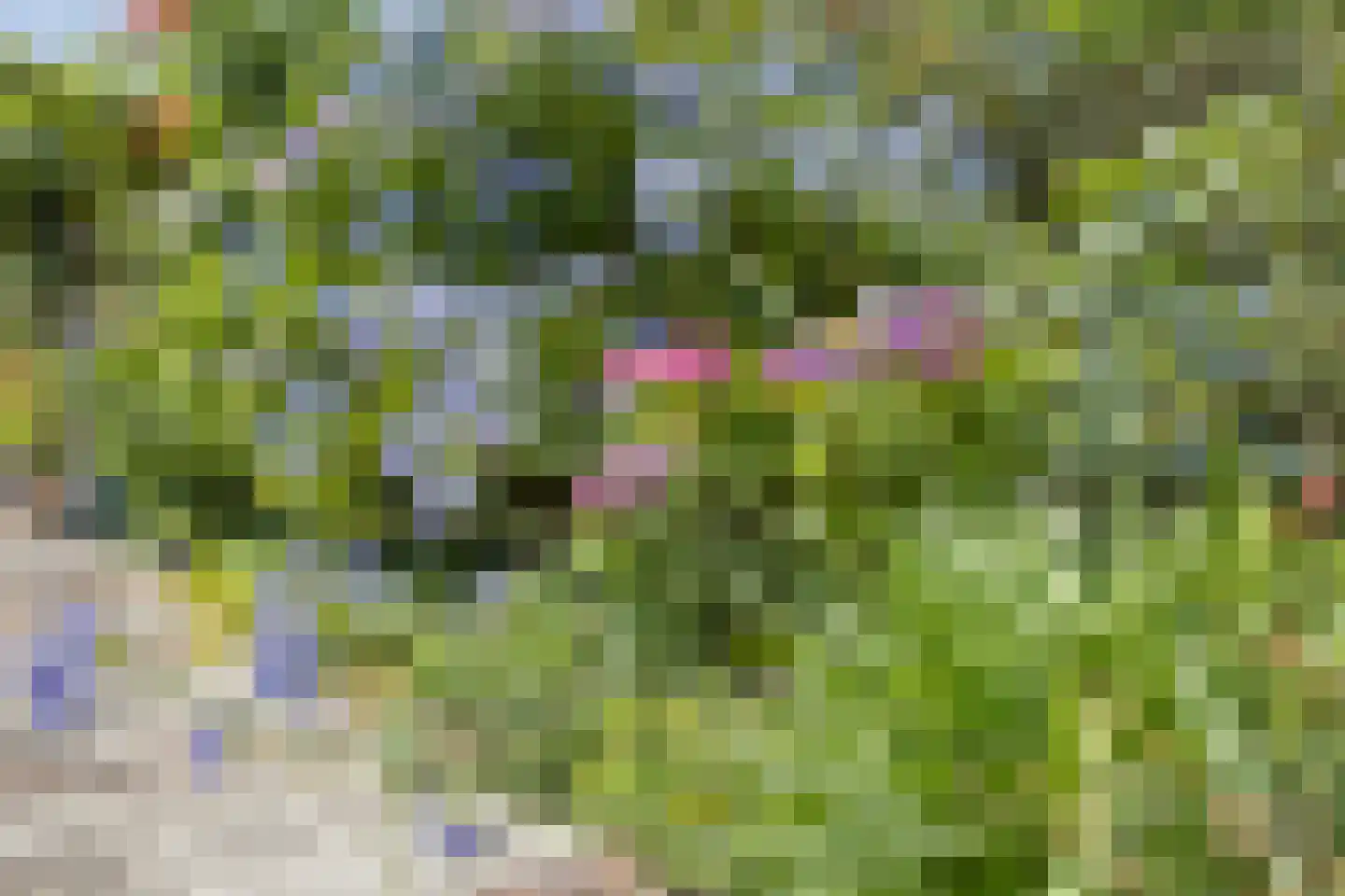 Oudestraat 20 Gemert thumbnail 65