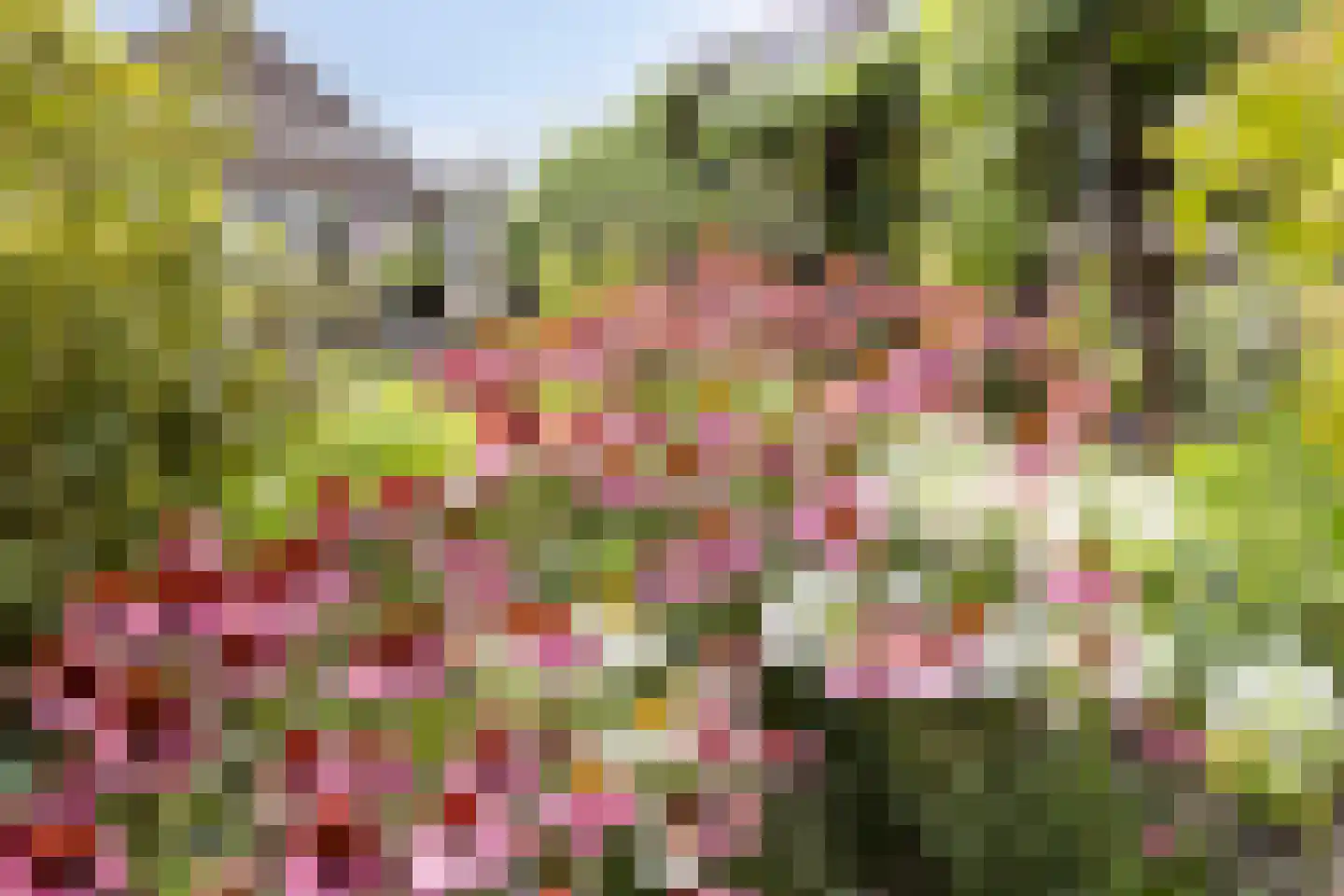 Oudestraat 20 Gemert thumbnail 66