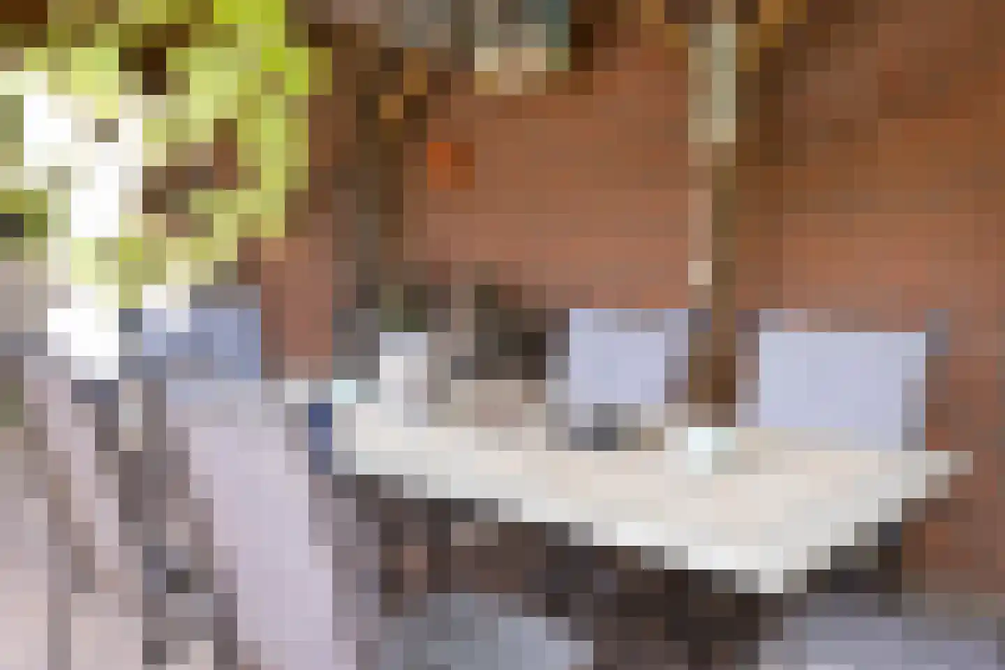 Oudestraat 20 Gemert thumbnail 67