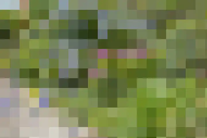 Oudestraat 20 Gemert thumbnail 67