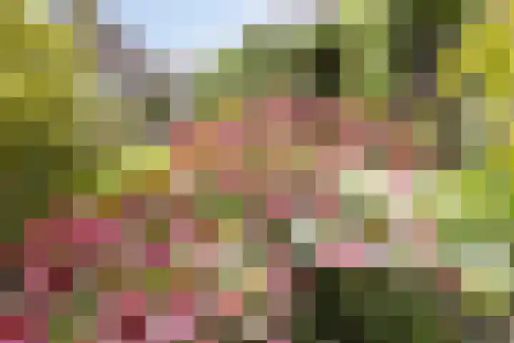 Oudestraat 20 Gemert thumbnail 68