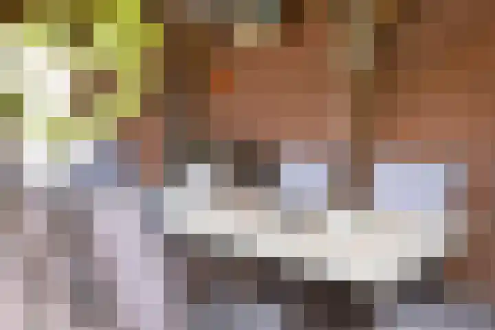 Oudestraat 20 Gemert thumbnail 69