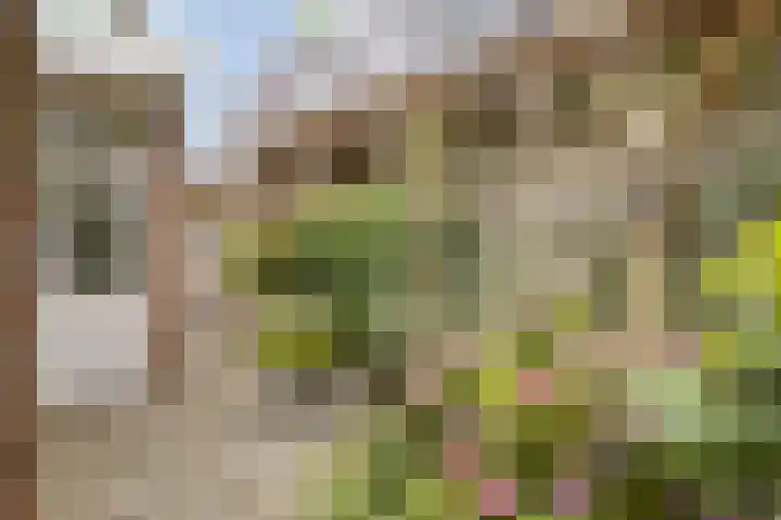 Oudestraat 20 Gemert thumbnail 71