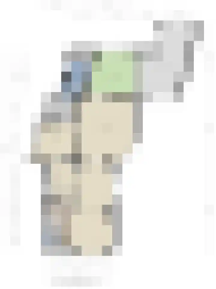 Oudestraat 20 Gemert thumbnail 75