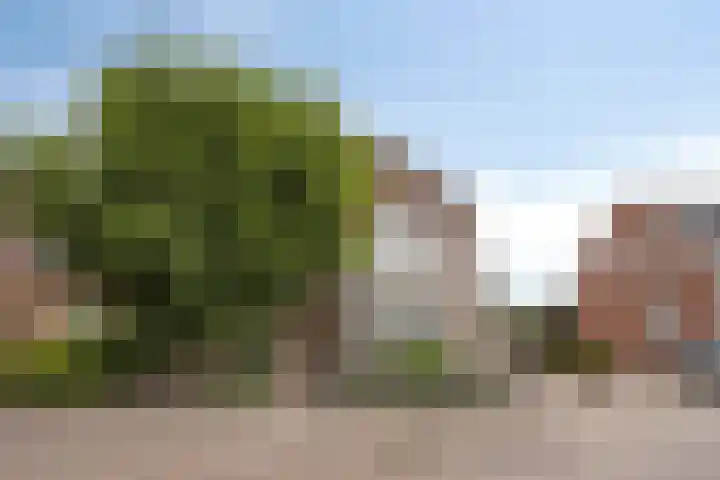 Oudestraat 20 Gemert thumbnail 8