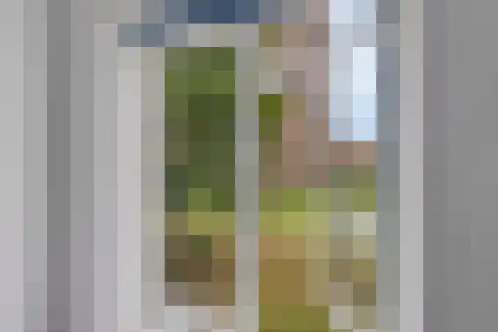 Oudestraat 20 Sint-Maartensdijk thumbnail 28