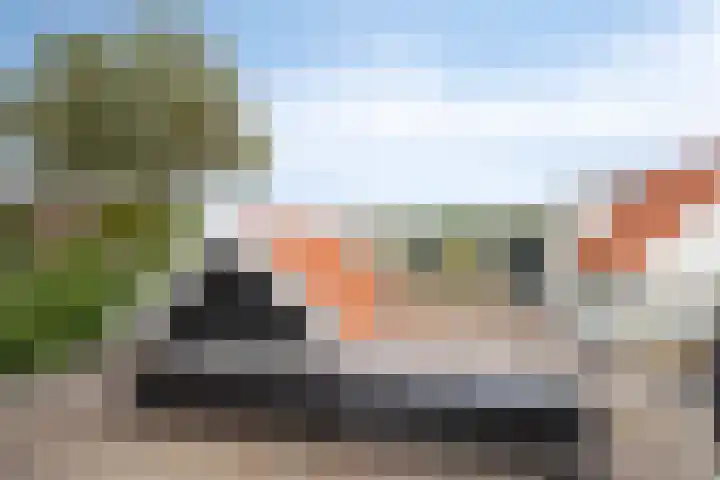 Oudestraat 20 Sint-Maartensdijk thumbnail 31