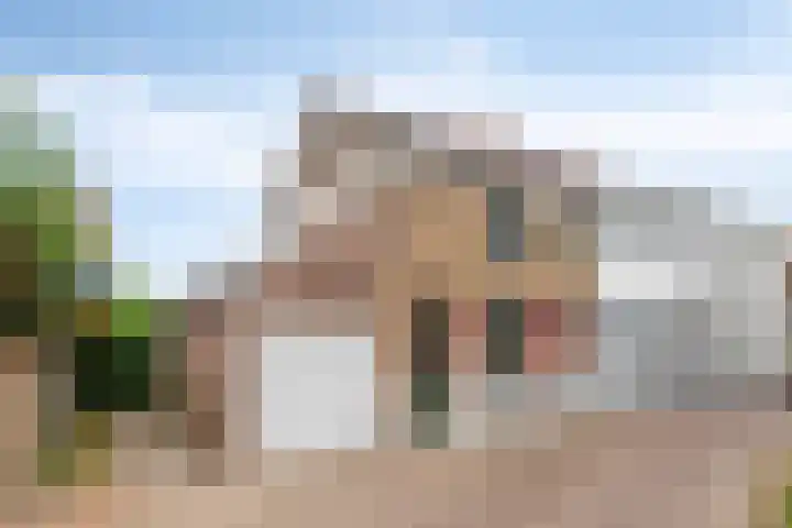 Oudestraat 20 Sint-Maartensdijk thumbnail 40
