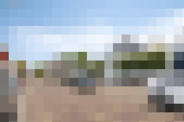 Oudestraat 20 Sint-Maartensdijk thumbnail 47