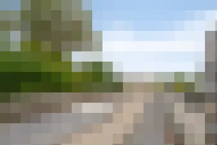 Oudestraat 20 Sint-Maartensdijk thumbnail 5